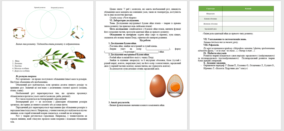 0602v93c-2422-940x436.png