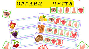 Органи чуття