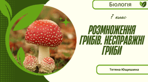 Розмноження грибів. Несправжні гриби. 7 клас. НУШ