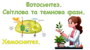 Презентація "Фотосинтез. Хемосинтез." (підготовка до НМТ)