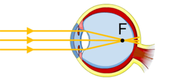0602ve7d-bf8e-338x161.png
