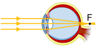 0602ve9h-9606-342x154.png