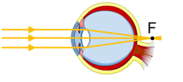 0602veam-f66a-356x160.png