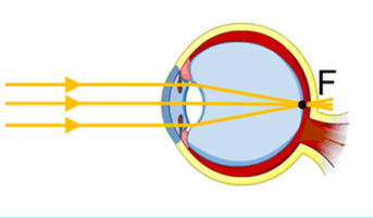 0602vecd-63a4-343x201.png