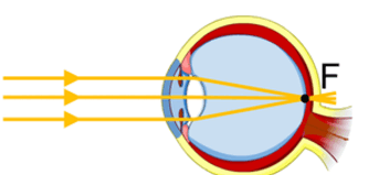 0602vedf-9445-343x159.png