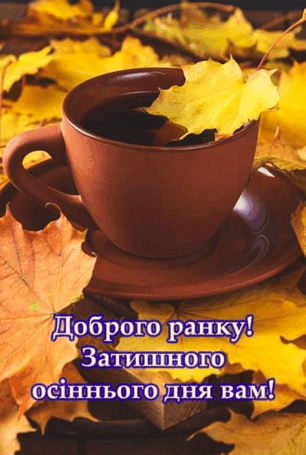 0602vfao-e4d1-306x455.png