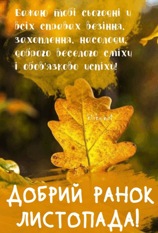 0602vgar-50ba-324x476.png