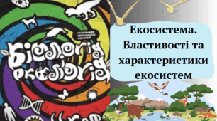 Екосистема. Властивості та характеристики екосистем