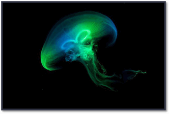 0602vgub-8912-332x225.png