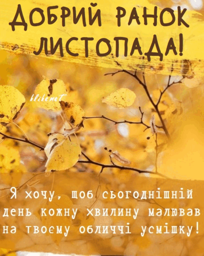 0602vhge-8c63-398x499.png