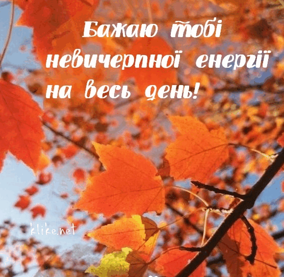 0602vhvf-221b-557x544.png