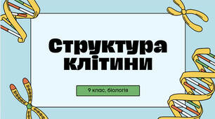 Будова клітини. Оглядова презентація про будову та функції структур клітини.