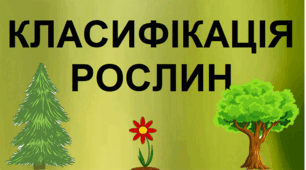 КЛАСИФІКАЦІЯ РОСЛИН