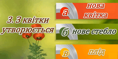 0602viv3-562e-407x204.png