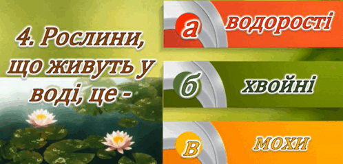 0602viwt-3fbc-407x195.png
