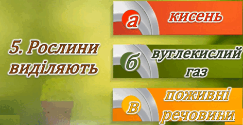0602vj0f-6d29-419x215.png