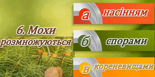 0602vj2r-7a0f-423x211.png