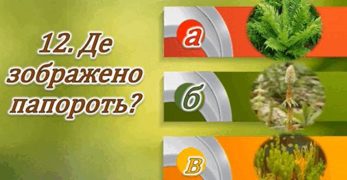 0602vje0-cedf-498x259.png