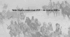Історія України, 10 клас. Презентація "Україна наприкінці 1919 — на початку 1920 р."