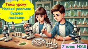 Презентація з біології для учнів 7 класу НУШ. Тема уроку: Насінні рослини. Будова насінини.