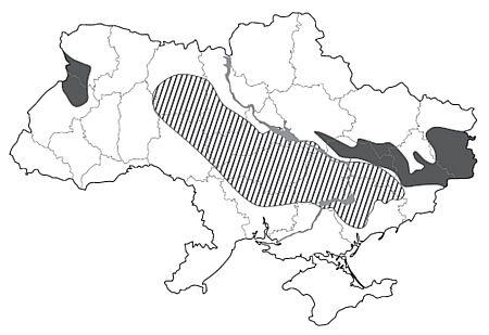 Зображення без підпису