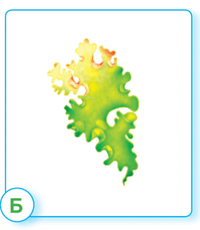 0602w390-b0cd-285x327.png
