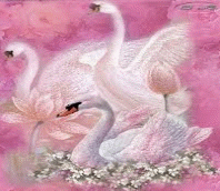 0602w6va-9863-198x172.gif