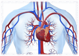 0602w8m2-e7fd-262x186.png