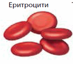 0602w8qf-d51c-255x224.png