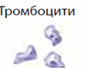 0602w8sy-5ad1-177x140.png