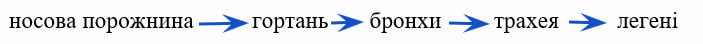 0602w8xn-7856-703x44.png