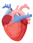 0602w8zh-a43e-109x144.png