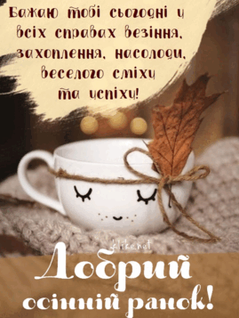 0602w951-9e04-269x357.png