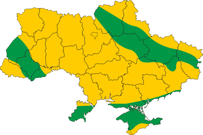 0602wben-35a4-649x433.png