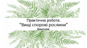 Практична робота Вищі спорові рослини