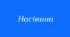 Лабораторне дослідження будови насінини. 7 клас НУШ