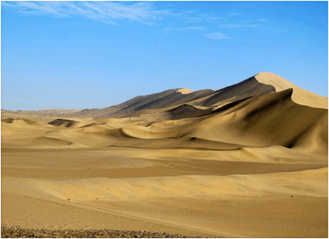0602wn1t-e95f-467x340.png