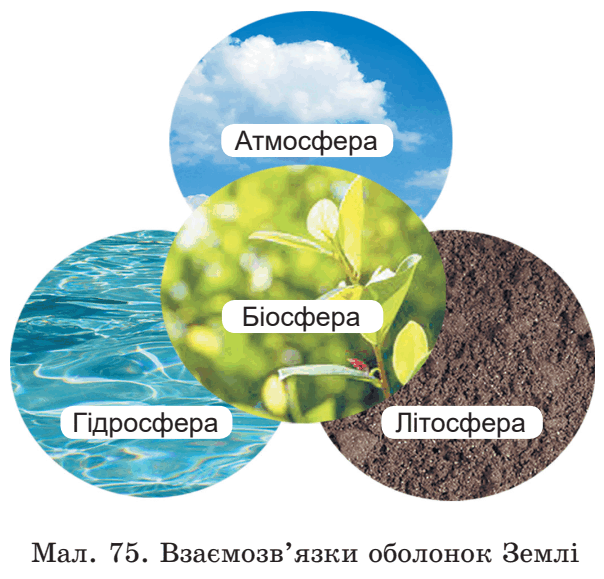0602wnpe-c67c-604x579.png
