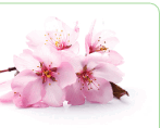 0602wrjg-72c4-148x118.png