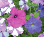 0602wrkl-e5f7-142x118.png