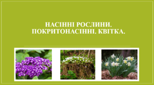 Презентація "Насінні рослини. Покритонасінні. Квітка. НУШ".