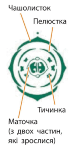 0602wuqa-f994-152x298.png