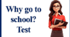 Контрольна / Діагностична робота 10 клас "Why go to school"
