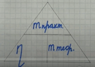 0602x49o-081d-193x136.png