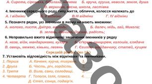 Діагностична робота за ГР4 "Іменник"