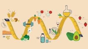 Принципи функціонування клітини