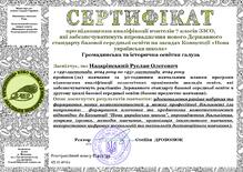  Курси ВАБО для вчителів 7 класів ЗЗСО,   які забезпечуватимуть впровадження нового Державного  стандарту базової середньої освіти на засадах Концепції «Нова  українська школа»