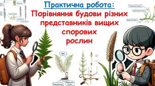 Практична робота №2 " Порівняння будови різних представників вищих спорових рослин"