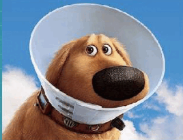 0602xew2-b696-268x205.png