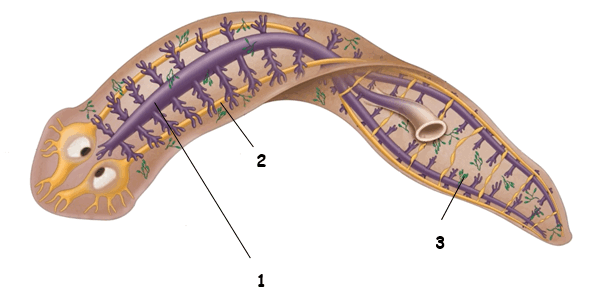 0602xhxw-4450-613x307.png